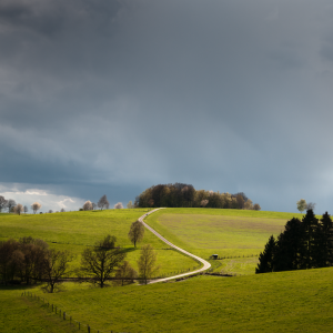 Much - Der andere Blick 2 von 3 (08.03.2021)