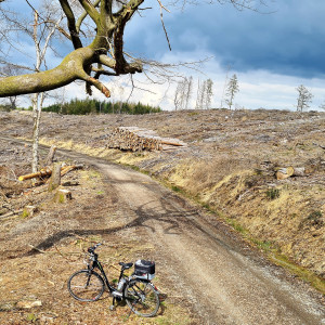 Much - Der andere Blick 3 von 3 (10.05.2021)