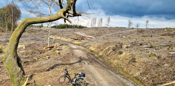 Much - Der andere Blick 3 von 3 (10.05.2021)