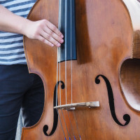 kontrabass