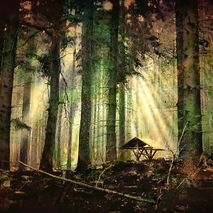 Natur & Landschaften