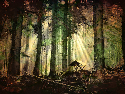 Natur & Landschaften