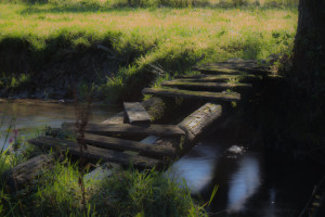 Br&uuml;cke ins Licht