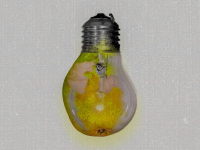 Naturelemente mit Architektur vergleichen