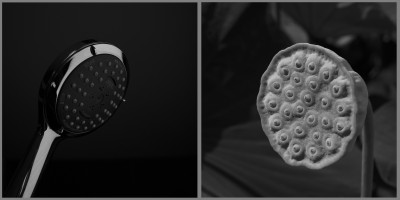 Duschkopf (paarung) Lotuskapsel