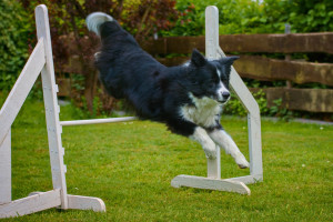 AGILITY