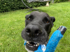 Wer ist St&auml;rker 