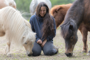 entspannte M&auml;hnen