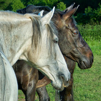 Wir zwei sind ein Paar