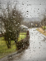 Oh je, die Hunde m&uuml;ssen noch Gassi gehen