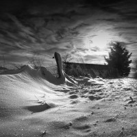 Winterimpression