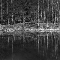 Waldspiegel-Stephan-Tewes