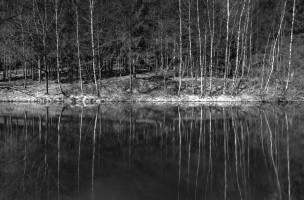 Waldspiegel-Stephan-Tewes