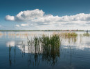 Blick von Altwarp nach Neuwarp (Nowe Warpno PL)