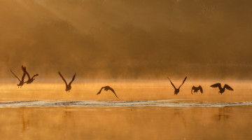 Fr&uuml;hstart am Herrenteich