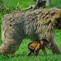 Tierpark Eckenhagen