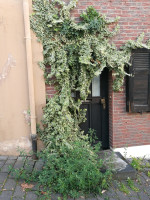 Au&szlig;ergewöhnliches im Alltäglichen entdecken